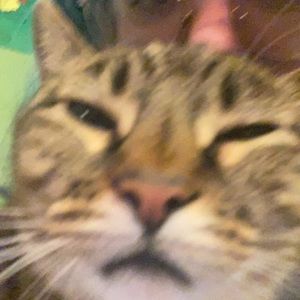 Meet your Posher, Elle